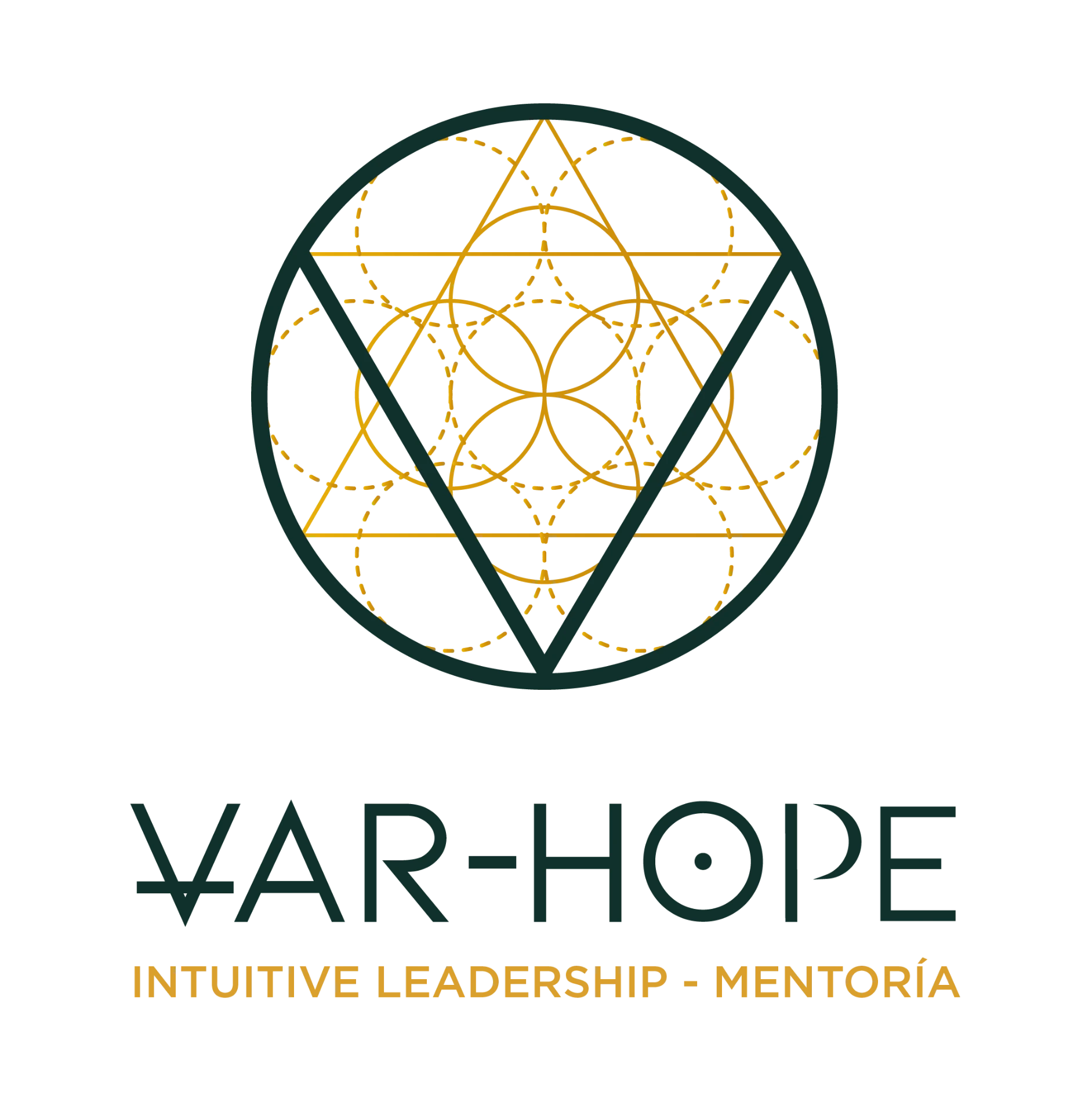 VARHOPE Intuitive Leadership - Mentoría