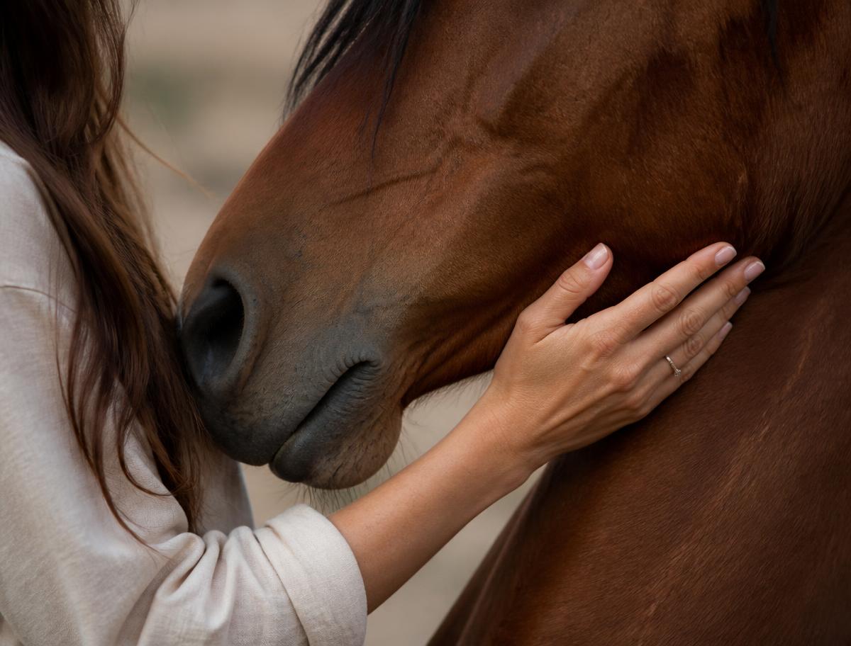 Mano apoyada con calma en el cuello de un caballo