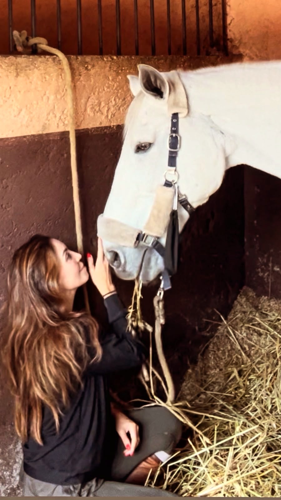 Sesión de acompañamiento con caballos