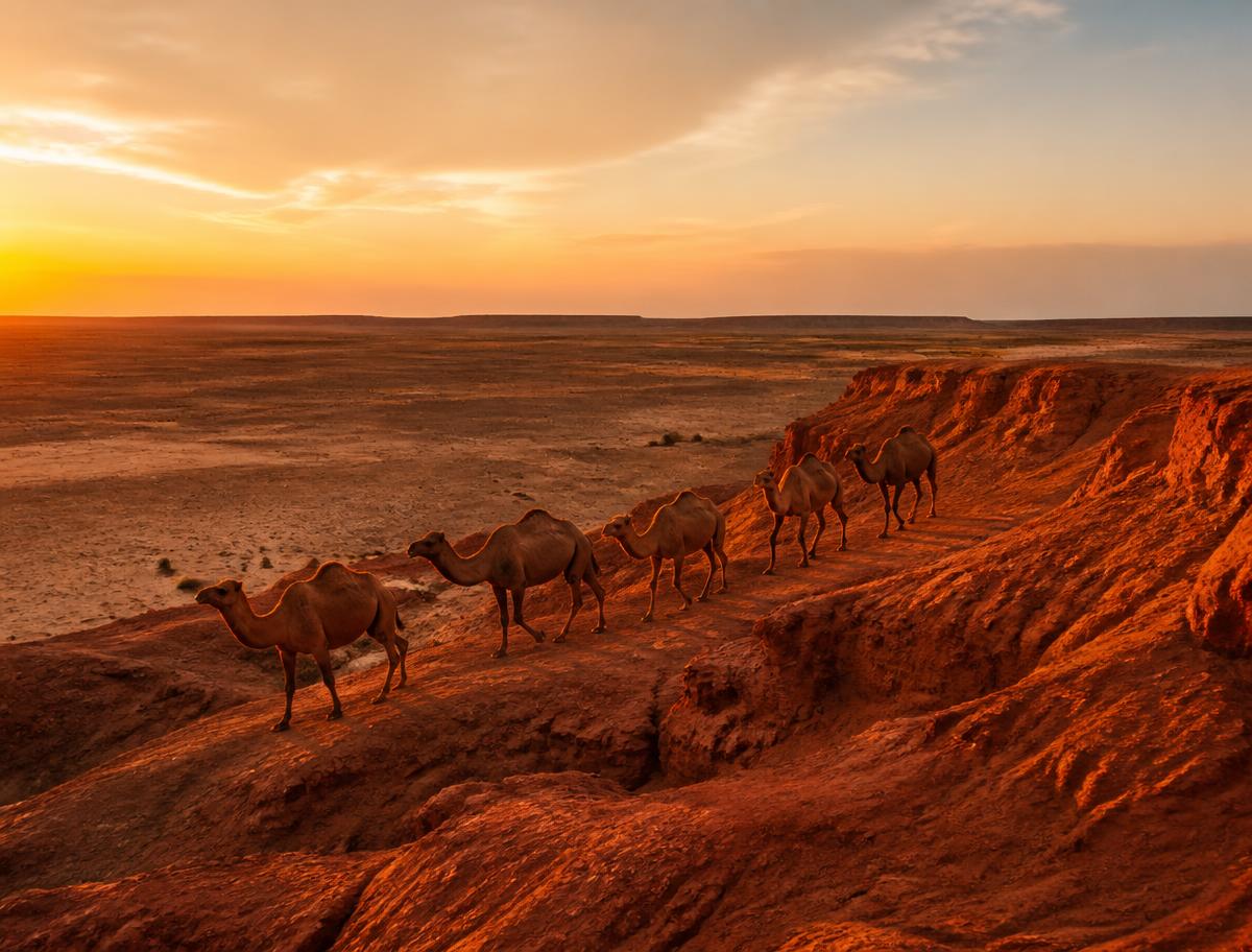 Travesía en camello hacia los Flaming Cliffs del Gobi